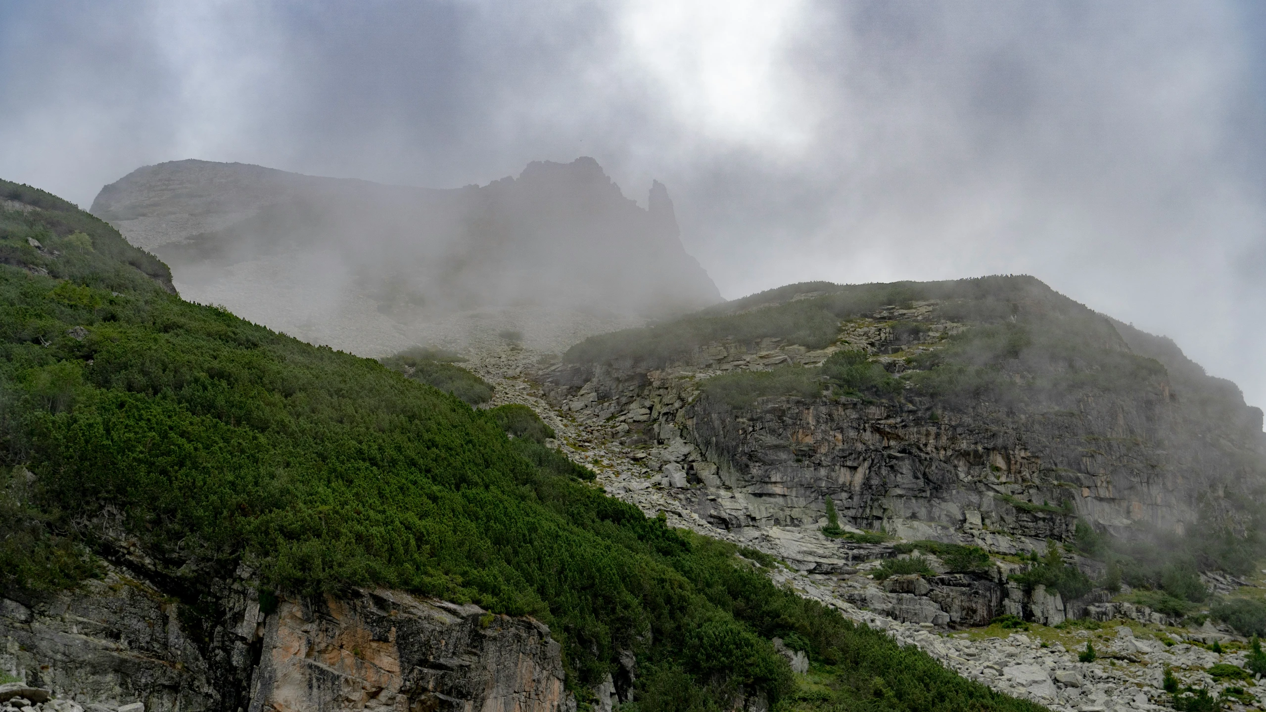 the mountain is covered in vegetation and fog