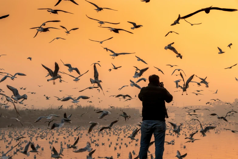 a man is standing among the birds as he takes pos