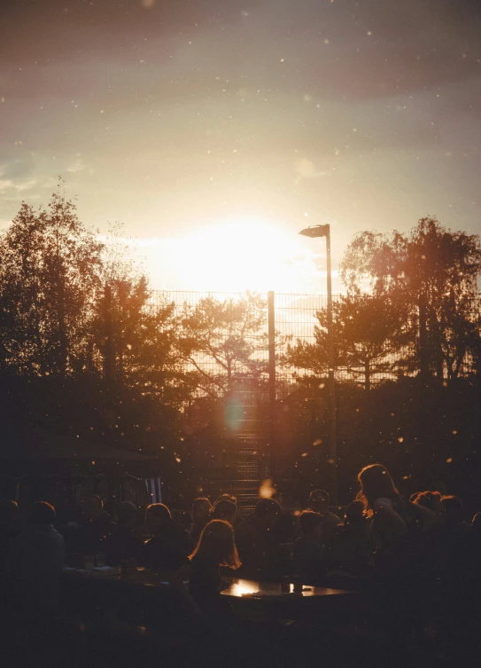 the sun shining through trees and the volleyball court