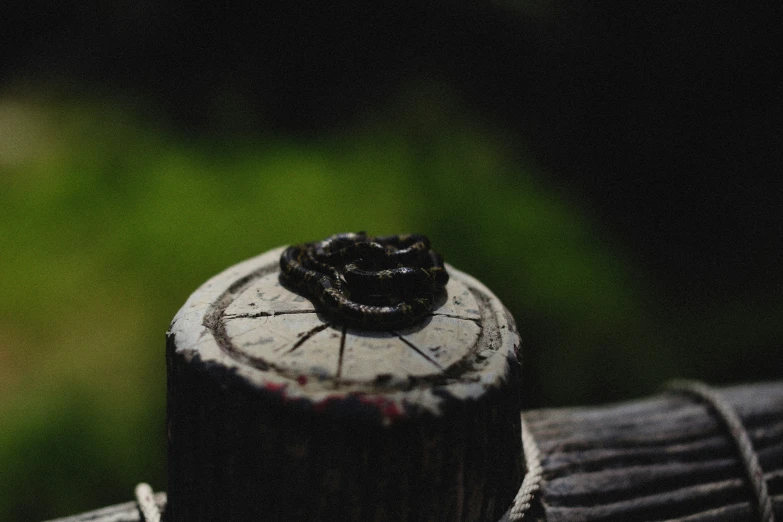 a black metal object in the middle of a forest