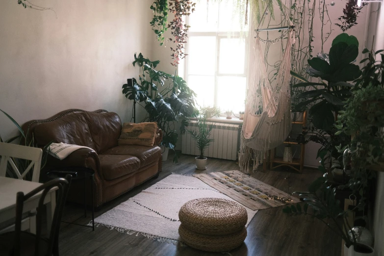 plants and greenery adorn this dimly lit living room