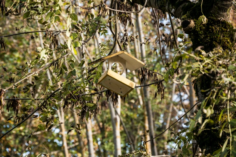 a bird house hanging from a tree in the woods