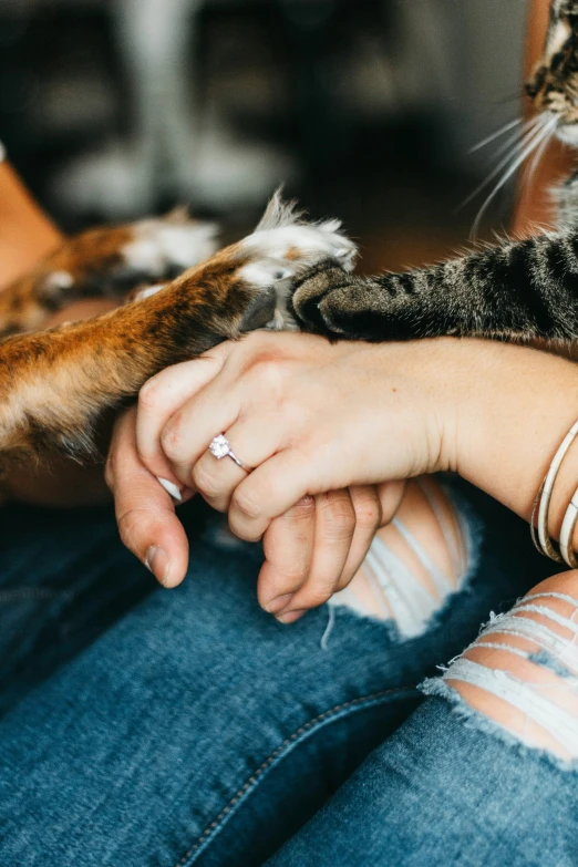 a person holding their arm with a cat in the background