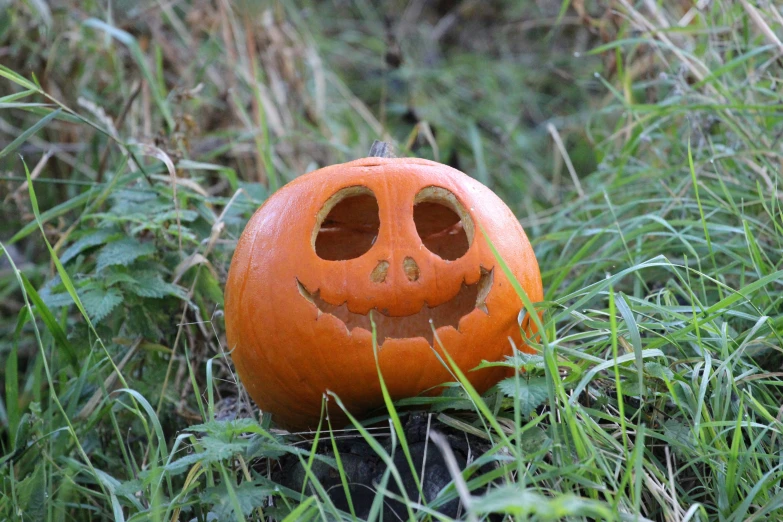 the jack o lantern is smiling in the grass