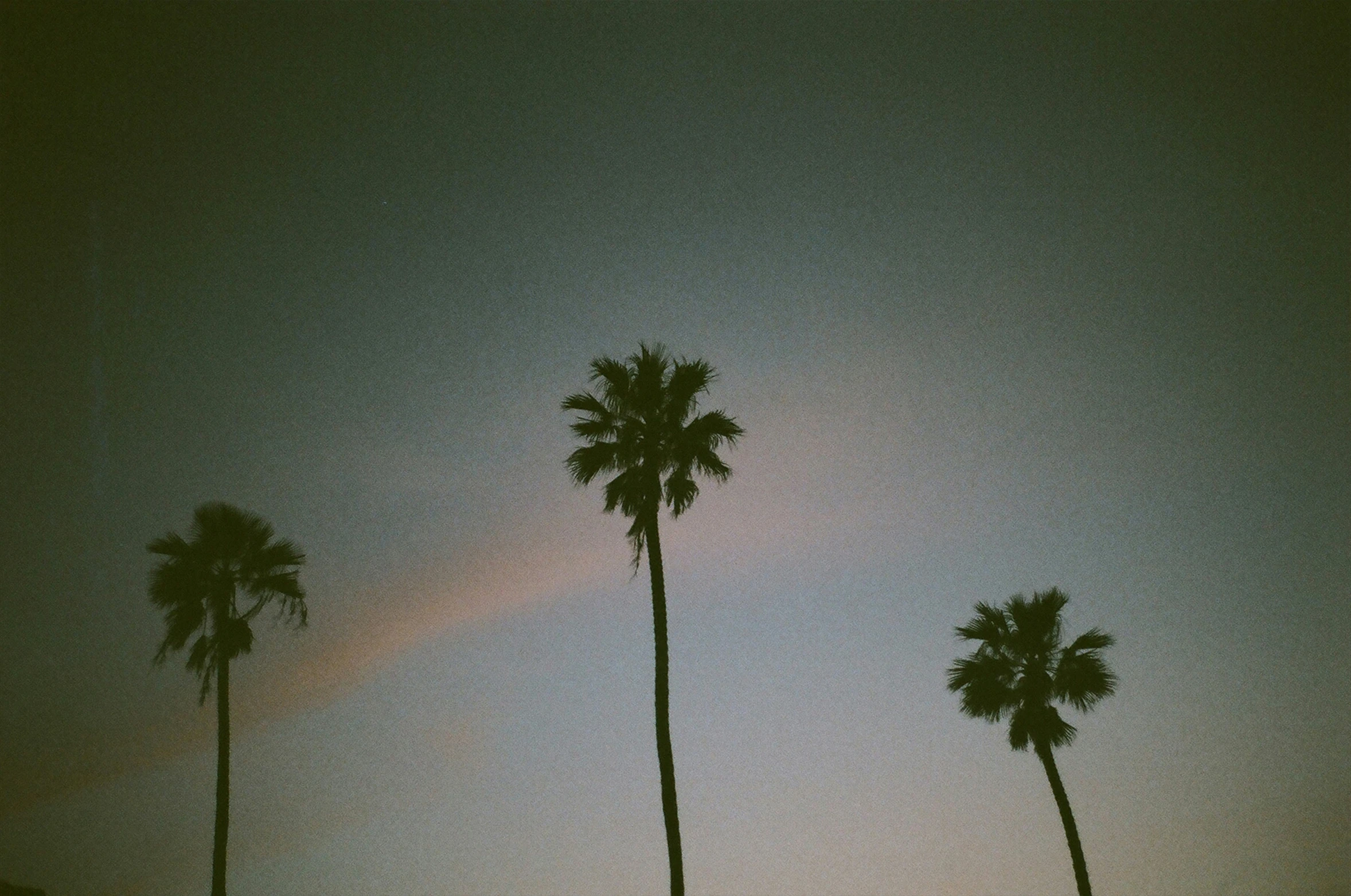 the sky is grey and a rainbow is seen between some palm trees