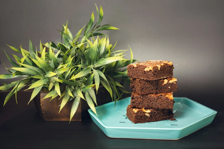 some slices of brownie on top of a blue plate