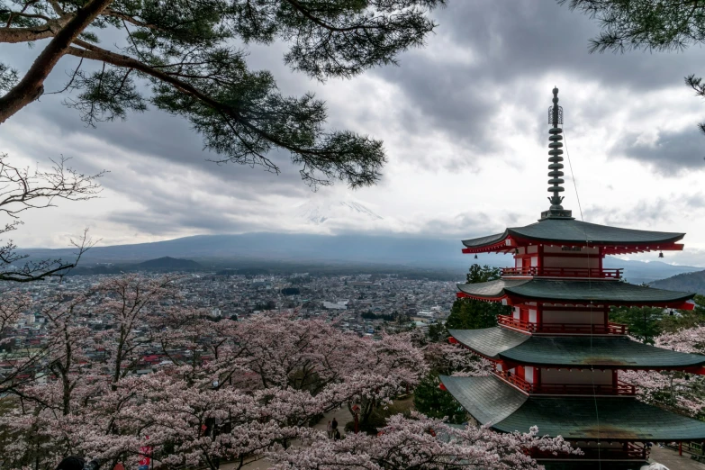 tall red tower with pagoda on the top next to cherry blossom trees