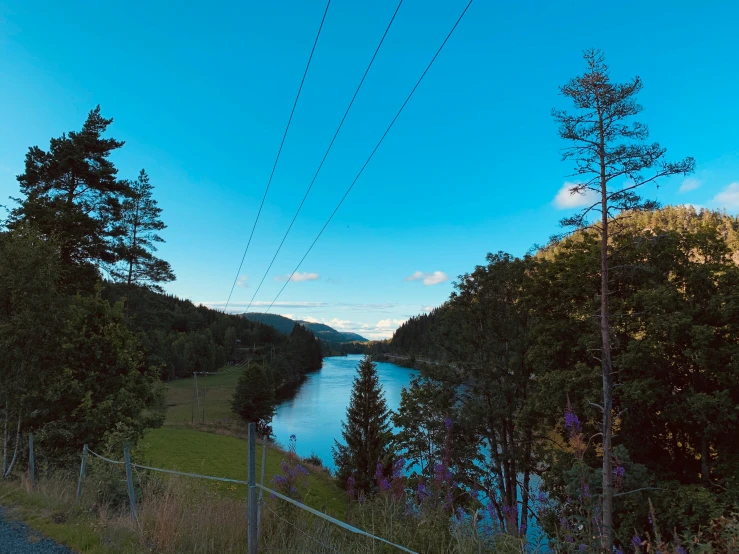 power lines are above the water in a wooded area