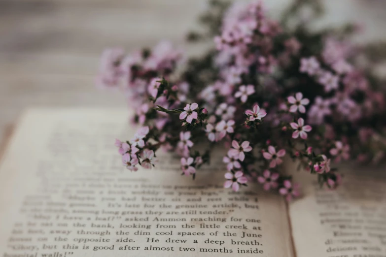 a bunch of flowers that are laying on top of an open book