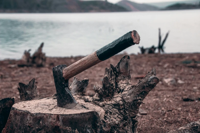 the axe that has been chopped is on the tree stump