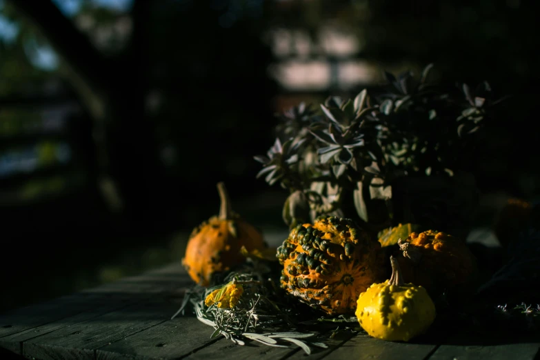 there are some very pretty flowers sitting by the table