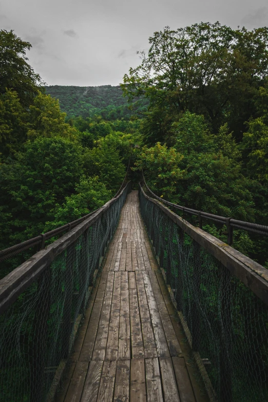 a long wooden bridge with some people crossing it