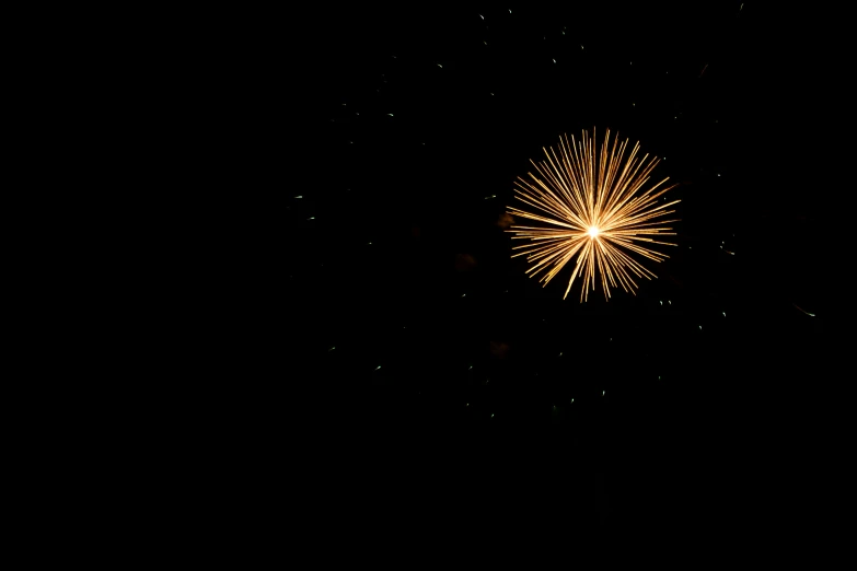 a large bright gold fireworks explodes into the sky