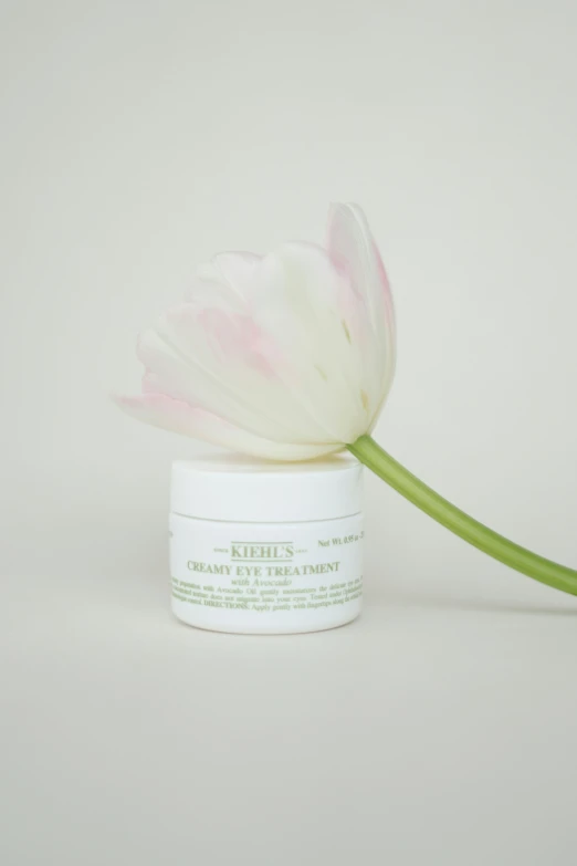 a large flower on top of a cream jar