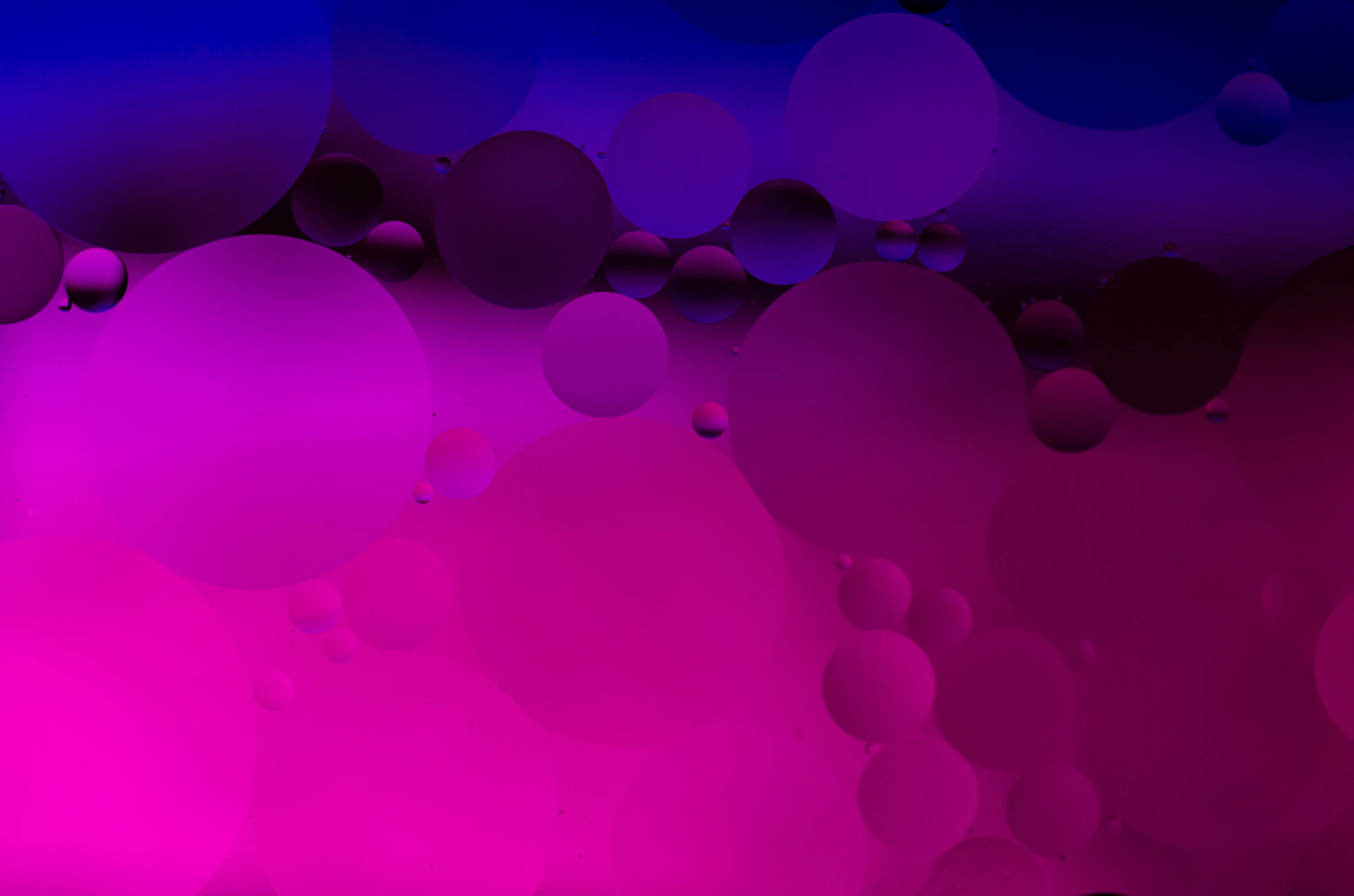 an abstract wallpaper with circles and bubbles of pink and blue