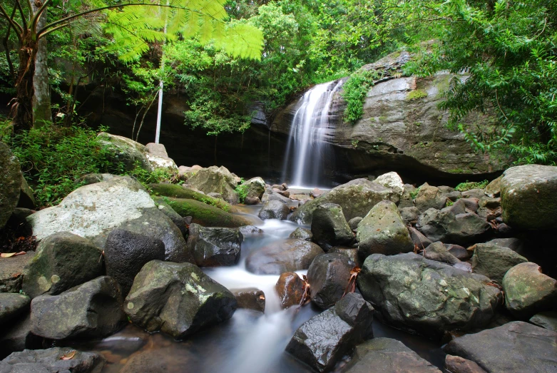 waterfall in forest, water is running over rocks