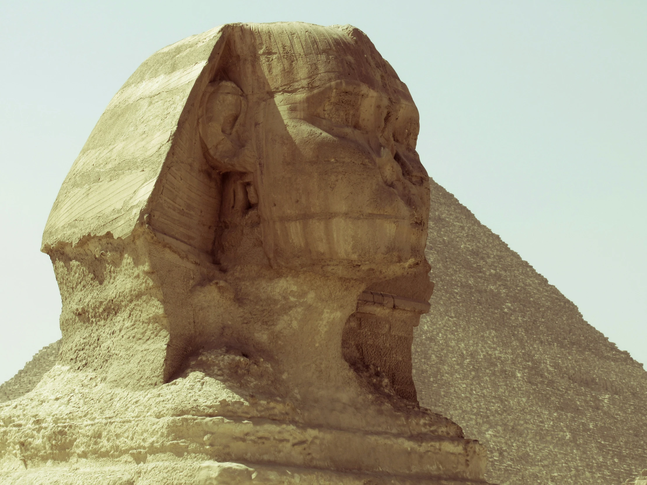 the sphinx with its head turned down is in front of the pyramids