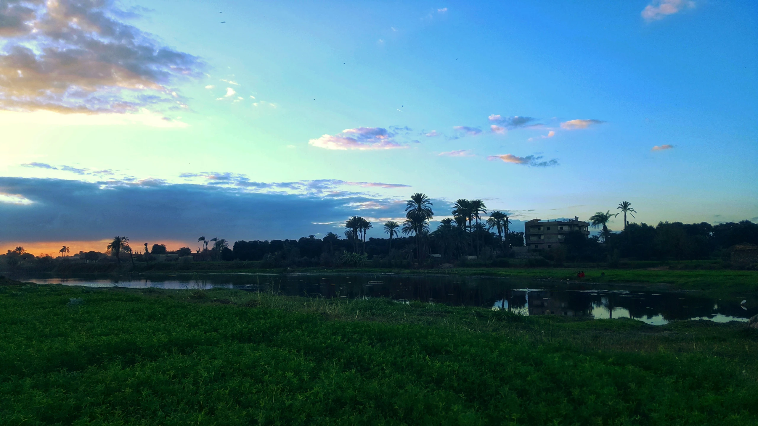 an image of a field with the sun setting over it