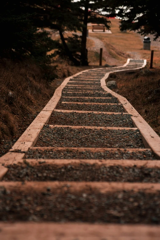 there is a set of steps made of pebbles in a garden