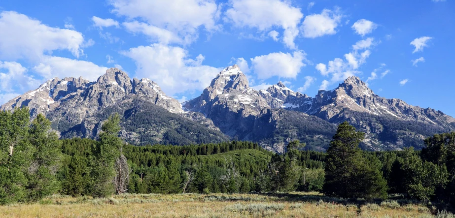 two large mountains in the distance and trees behind them