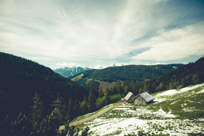 a mountain with snowy, forested area and blue sky