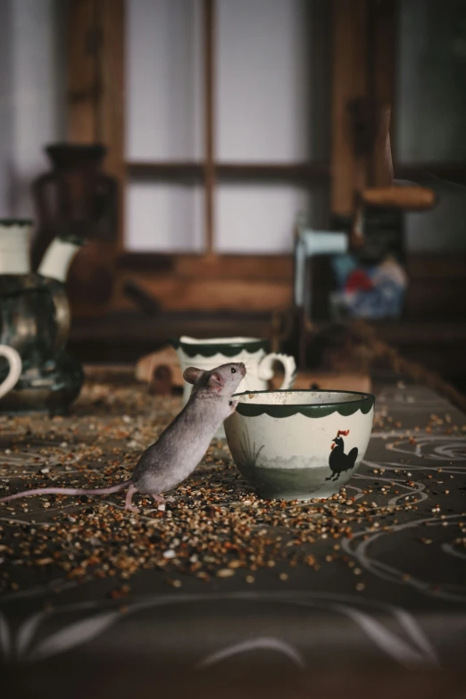 a rat is sitting in a coffee cup