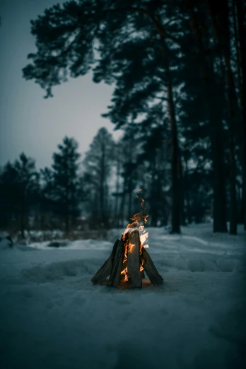 a bonfire set on a snowy field with trees in the background