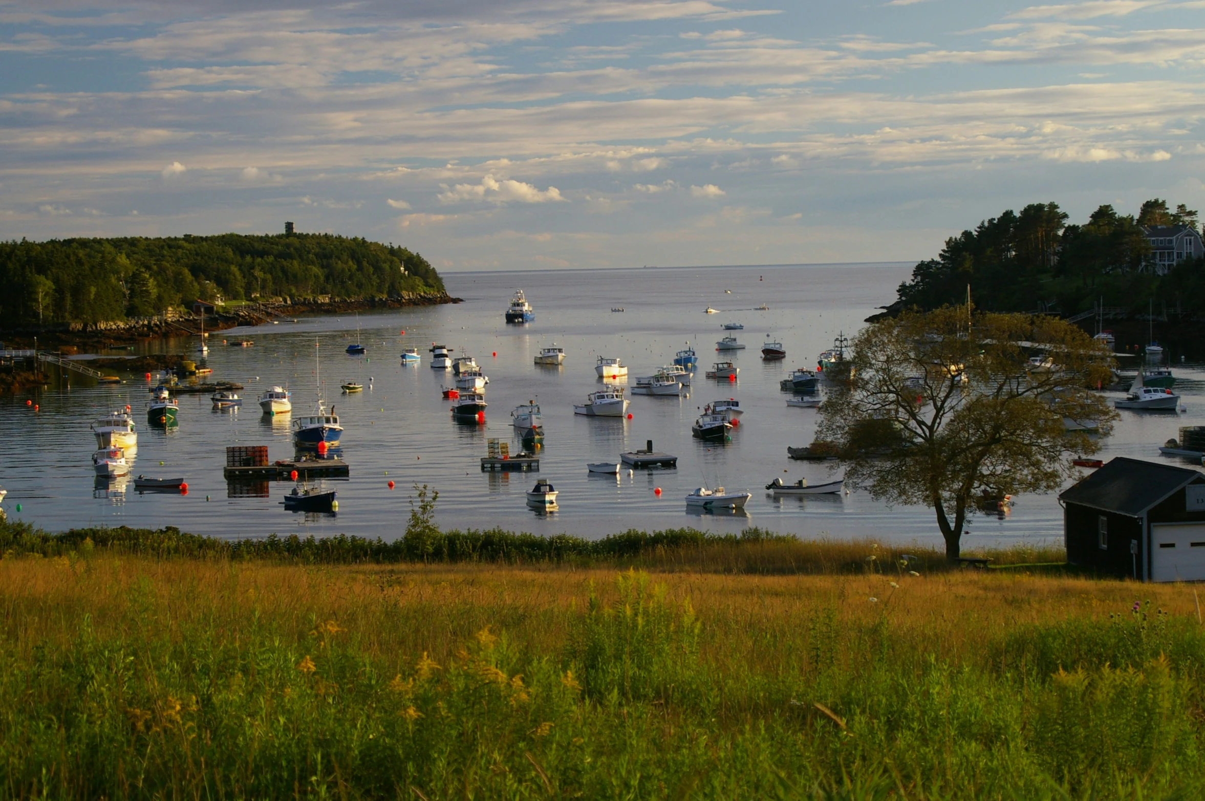 boats out on the water surrounded by trees