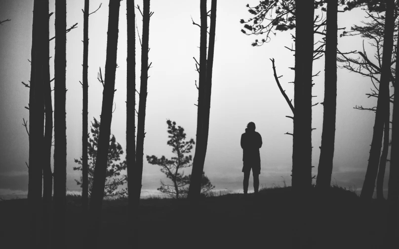 the person is standing in a dark forest