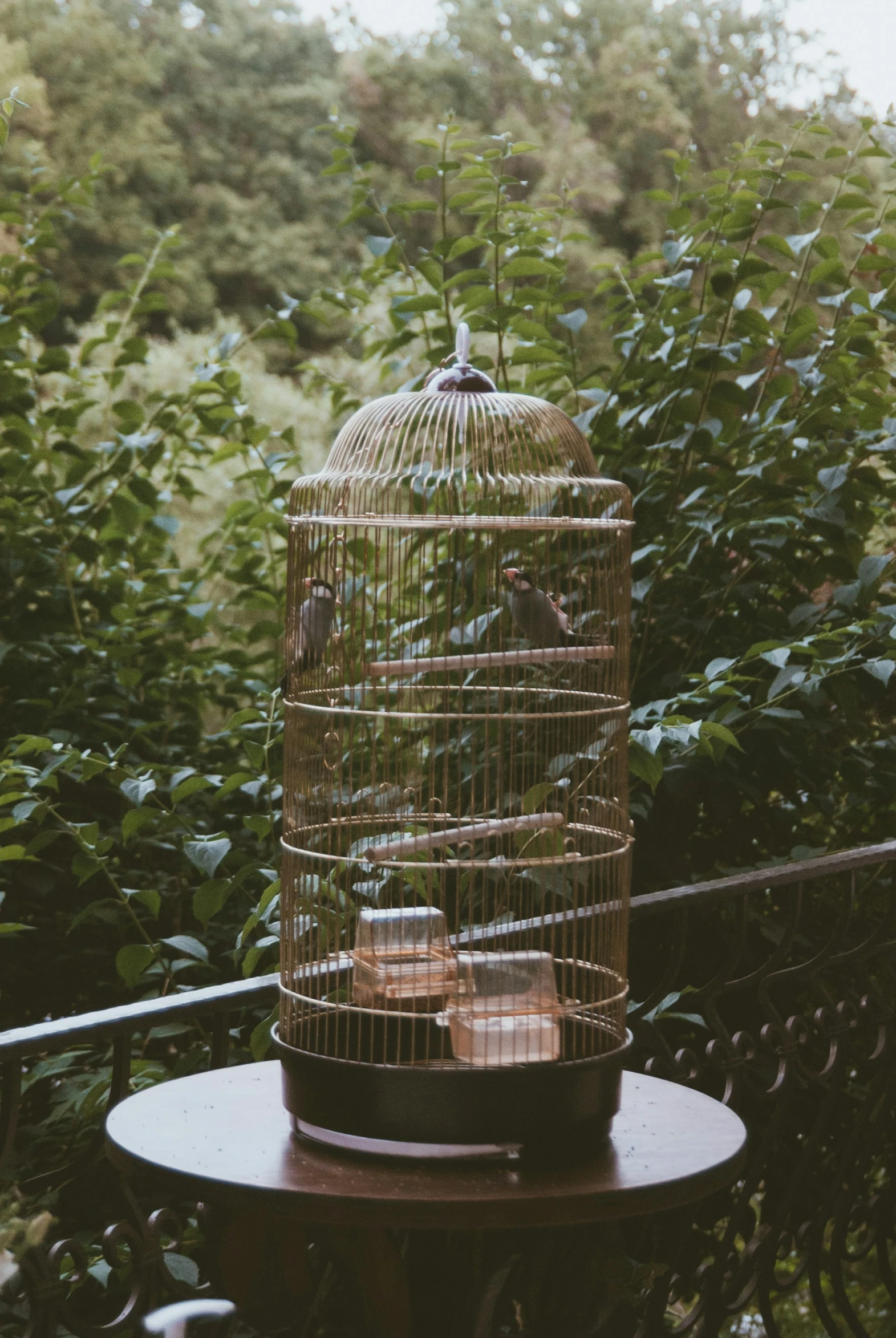 an empty birdcage that is on a table outside