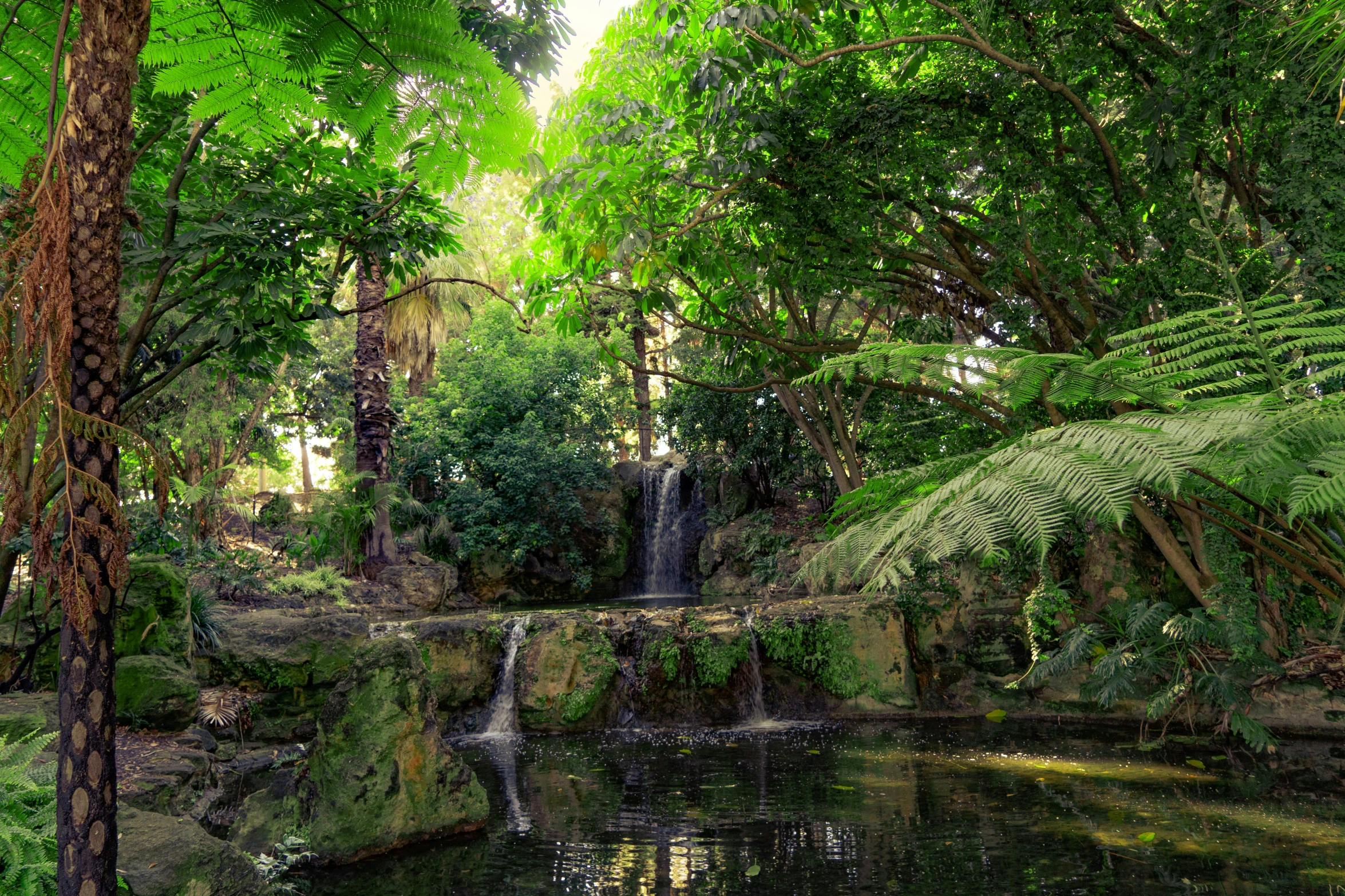 waterfall in a lush, green park surrounded by palm trees