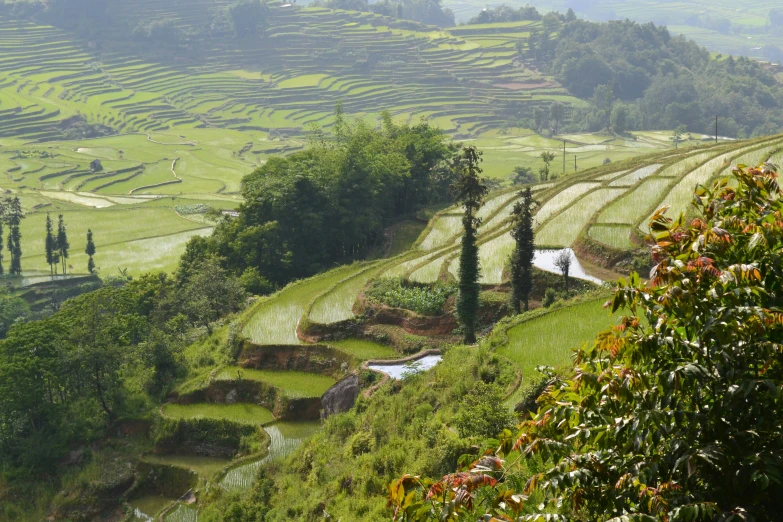 the mountain side has rice terraces and small buildings