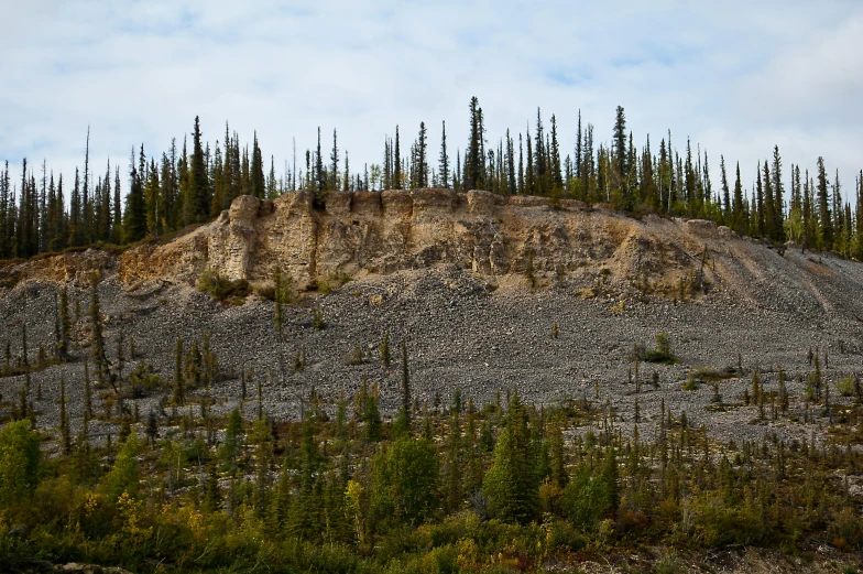 a small hill covered in lots of dirt