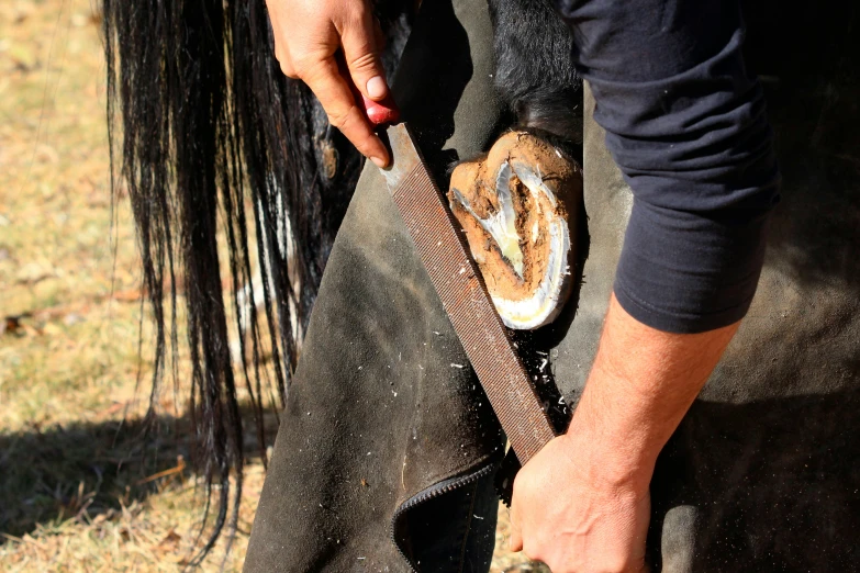 a person is wearing an animal harness and a small bag of food