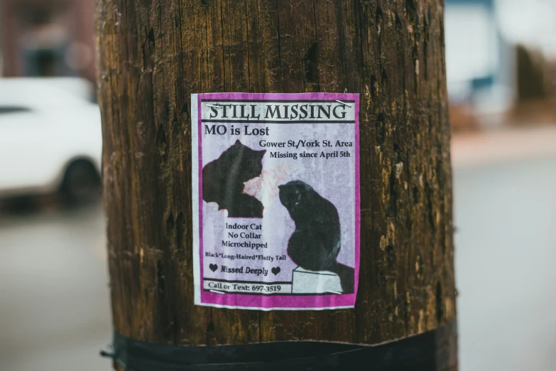stickers on the side of the wooden pole indicate they are telling to stop for the cats