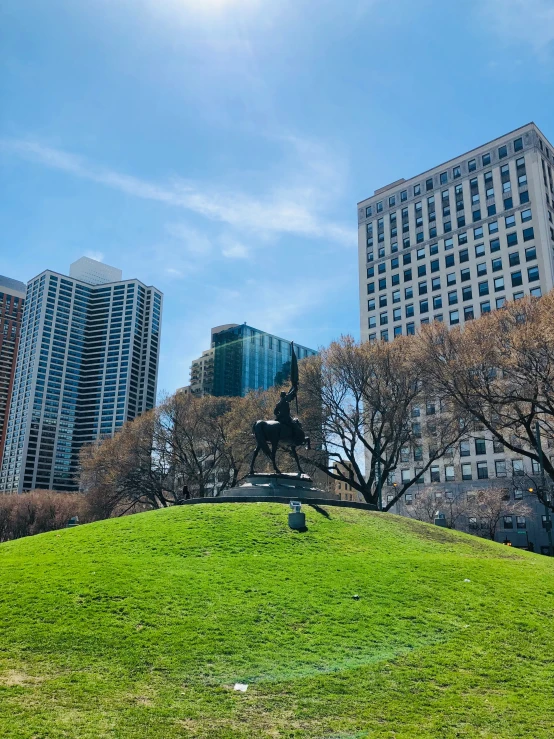 a statue is in the middle of the park