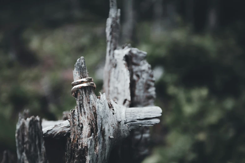 an object that is wrapped in gold rope sitting on a wooden post