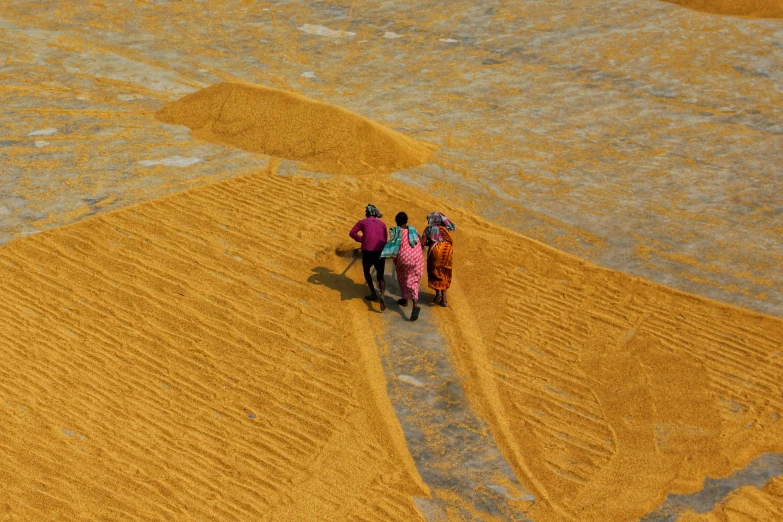 some people walk in the middle of a field