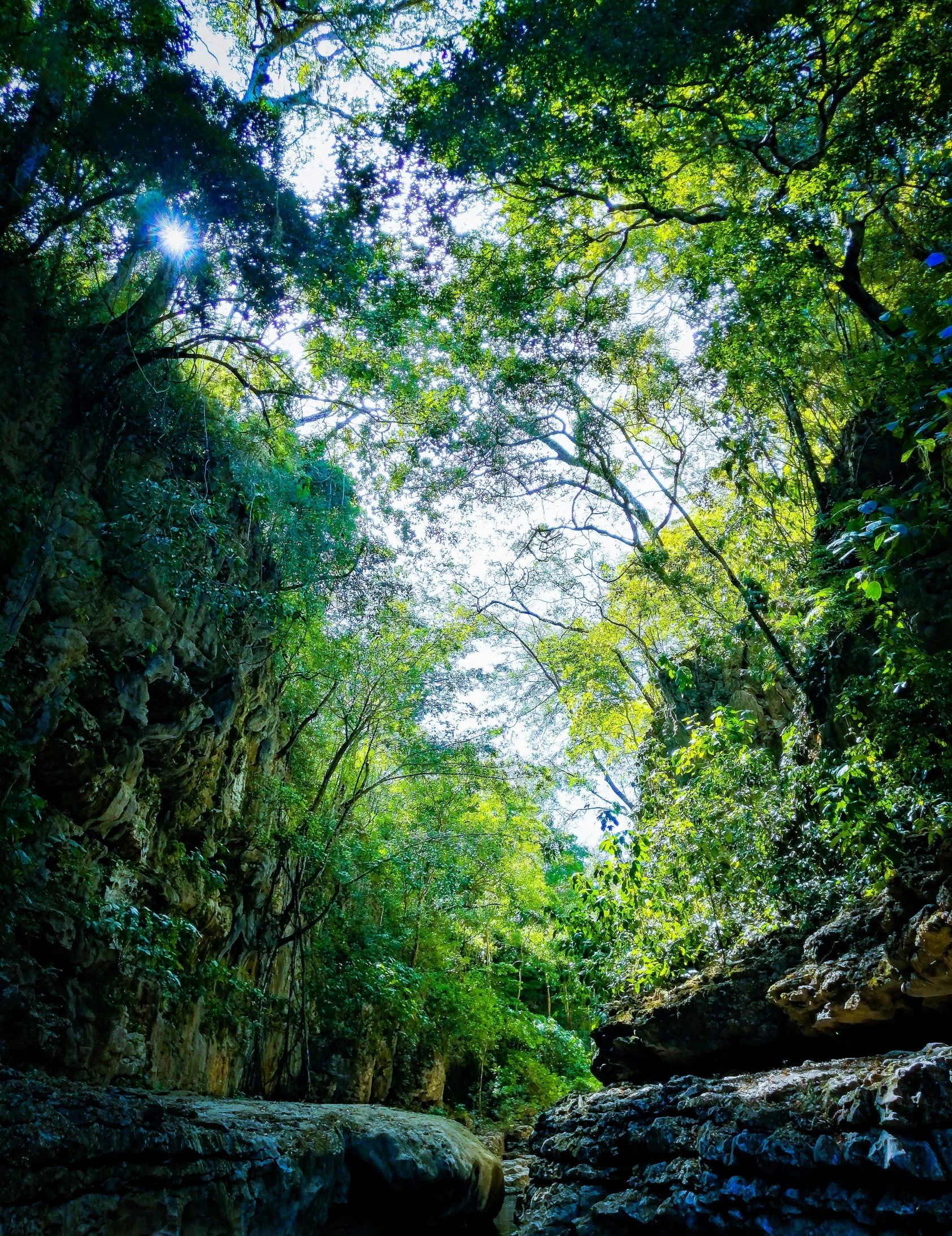 a canoe floating in a river surrounded by green trees