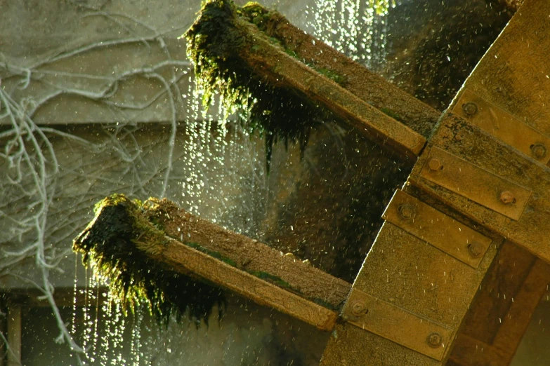 water spraying from a wooden structure and surrounding leaves