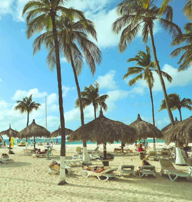 the beach is filled with palm trees and people