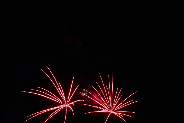 two fireworks light up the night sky with very many bright colors