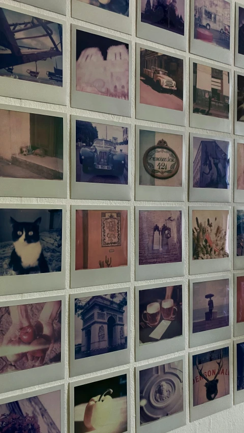 a wall with old pictures on it, all of the walls have pictures of cats in them