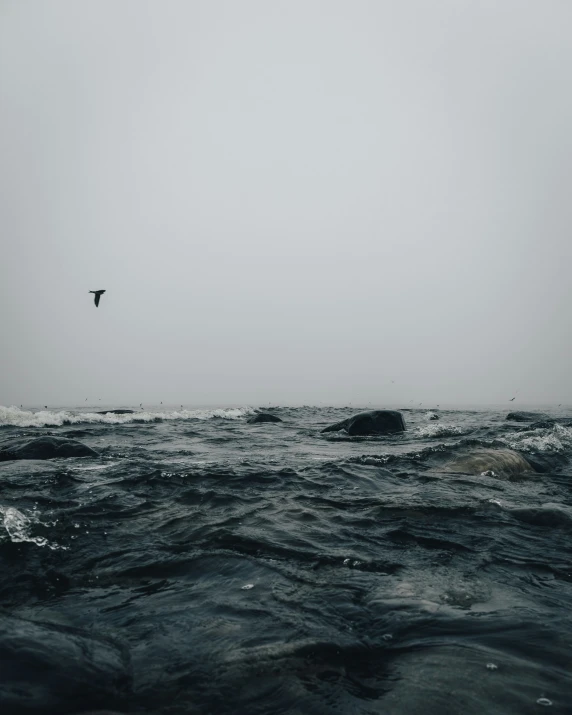 a bird flies over the ocean on a cloudy day