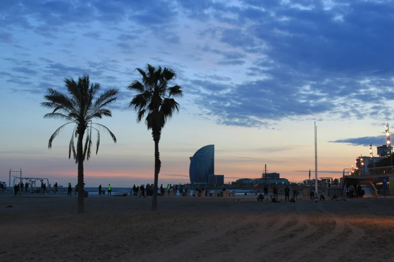 the beach has palm trees next to the building