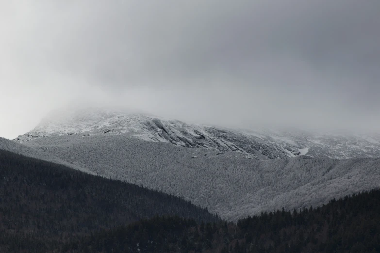 a snowy mountain in the foreground with pine trees, and gray skies in the background