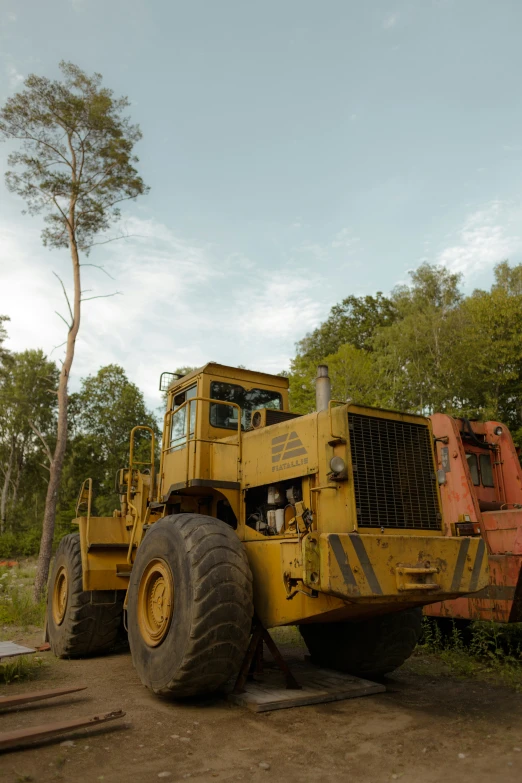 a large yellow bulldozer is standing near a small tree