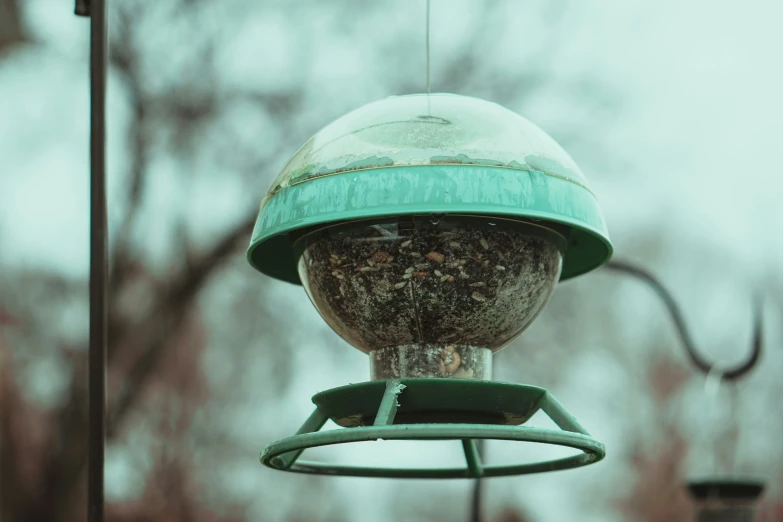 there is a bird feeder that has many birds on it