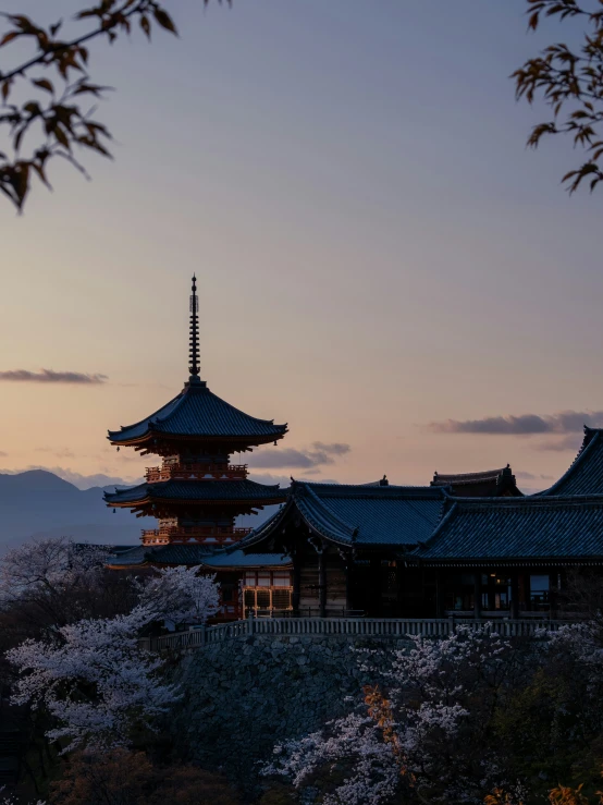 a building with a tower near cherry blossom trees