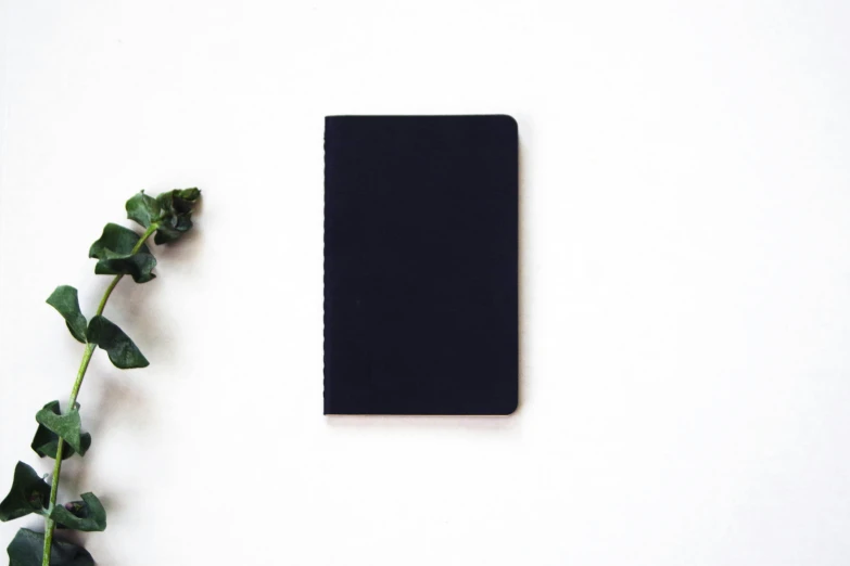 a black notebook sitting next to some green plants